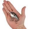 imageBerkley Dime Fishing Hard BaitPixie Dust