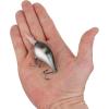 imageBerkley Dime Fishing Hard BaitPixie Dust