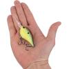 imageBerkley Dime Fishing Hard BaitRiver Bream