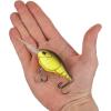 imageBerkley Dime Fishing Hard BaitRootbeer Craw