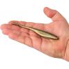 imageBerkley Gulp Saltwater Jerk Shad Fishing Soft BaitFools Gold