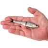 imageBerkley PowerBait Nessie Fishing Soft BaitHickory Shad