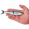 imageBerkley PowerBait Nessie Fishing Soft BaitHitch
