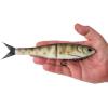 imageBerkley PowerBait Nessie Fishing Soft BaitPerch
