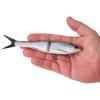 imageBerkley PowerBait Nessie Fishing Soft BaitRainbow Trout