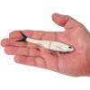 imageBerkley PowerBait Nessie Fishing Soft BaitRaw