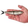 imageBerkley PowerBait Nessie Fishing Soft BaitShad