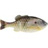 imageBerkley PowerBait Nessie Fishing Soft BaitSwimbait Haul of Fame Variety Kit
