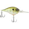 Killer Gill