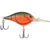 Red Swamp Craw