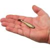 imageBerkley Gulp Saltwater Paddleshad Fishing Soft BaitFools Gold