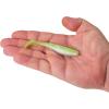 imageBerkley Gulp Saltwater Paddleshad Fishing Soft BaitKey Lime Chrome