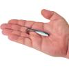 imageBerkley Gulp Saltwater Paddleshad Fishing Soft BaitOcean Shift