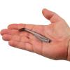 imageBerkley Gulp Saltwater Paddleshad Fishing Soft BaitRed Chrome