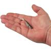 imageBerkley PowerBait Ripple Shad Fishing Soft BaitHD Bluegill