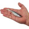 imageBerkley PowerBait Ripple Shad Fishing Soft BaitHD Gizzard Shad