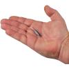 imageBerkley PowerBait Ripple Shad Fishing Soft BaitHD Gizzard Shad