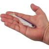 imageBerkley PowerBait Ripple Shad Fishing Soft BaitHD Purple Smelt