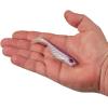imageBerkley PowerBait Ripple Shad Fishing Soft BaitHD Purple Smelt