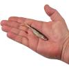 imageBerkley PowerBait Ripple Shad Fishing Soft BaitHD Red Belly Goby