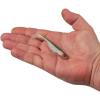 imageBerkley PowerBait Ripple Shad Fishing Soft BaitHD Stealth Minnow