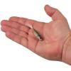 imageBerkley PowerBait Ripple Shad Fishing Soft BaitHD Tennessee Shad
