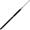 imagePENN Prevail III Boat Conventional Fishing Rod66  Heavy  1
