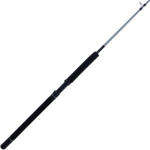 imagePENN Prevail III Boat Conventional Fishing Rod6  Heavy  1