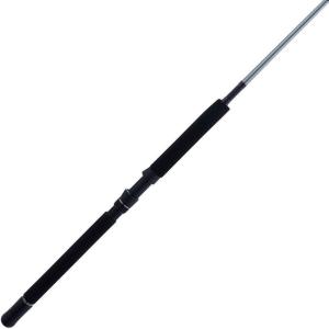 imagePENN Prevail III Boat Conventional Fishing Rod66  Heavy  1