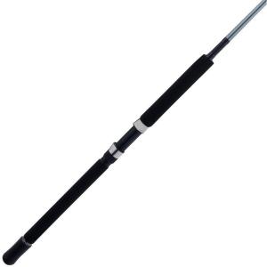 imagePENN Prevail III Boat Conventional Fishing Rod66  Medium Heavy  1
