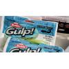 imageBerkley GSSM GulpGlow