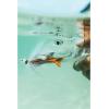 imageBerkley Gulp Shrimp Saltwater Fishing Soft BaitRoot Beer GoldChartreuse