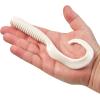 imageBerkley Gulp Grub Saltwater Fishing Soft BaitWhite