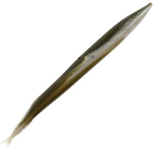 imageBerkley Gulp Sand Eel Silver Mud 5in