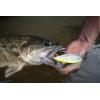 imageBerkley Bullet Pop Fishing Hard BaitBlack Chrome