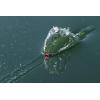 imageBerkley Bullet Pop Fishing Hard BaitBlack Chrome