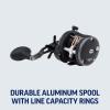 imagePENN Warfare Level Wind Conventional Fishing Reel All Models ampamp SizesLw Box Pk