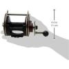 imagePenn Special Senator Star Drag Conventional Fishing Reel113h2lw