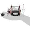 imagePenn Special Senator Star Drag Conventional Fishing Reel113h2sp