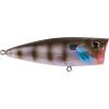 Ghost Bluegill