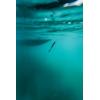 imageBerkley Berkley PowerBait MaxScent Flat WormBlack