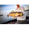 imageBerkley Gulp Minnow Fishing Soft BaitBlue Shiner