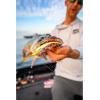imageBerkley Gulp Minnow Fishing Soft BaitChartreuse Shad