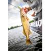 imageBerkley Gulp Minnow Fishing Soft BaitChartreuse Shad New