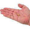 imageBerkley Gulp Minnow Fishing Soft BaitGold Leaf