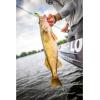 imageBerkley Gulp Minnow Fishing Soft BaitGreen Chartreuse