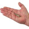 imageBerkley Gulp Minnow Fishing Soft BaitPyrite Shiner