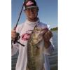 imageBerkley PowerBait MaxScent Flatnose Minnow Fishing Soft BaitBlack Shiner