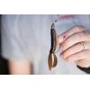 imageBerkley PowerBait Pit Boss Fishing Soft BaitBlackBlue