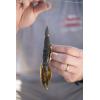 imageBerkley PowerBait Pit Boss Fishing Soft BaitJune Bug